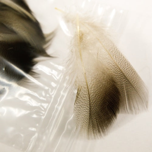 BROWN MALLARD Bulk Pack