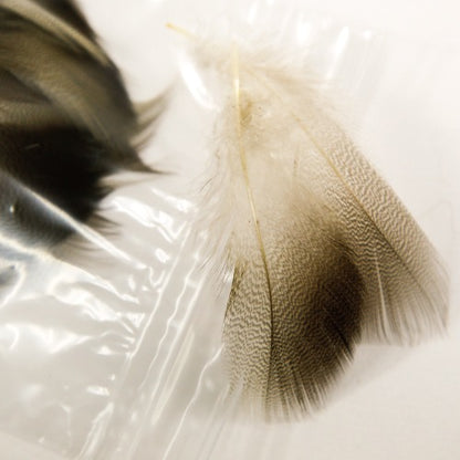 BROWN MALLARD Bulk Pack
