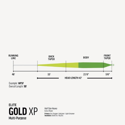 Elite Gold XP