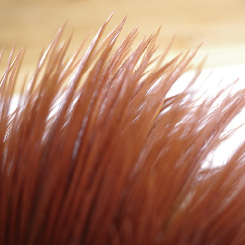 KEOUGH cape BROWN #2