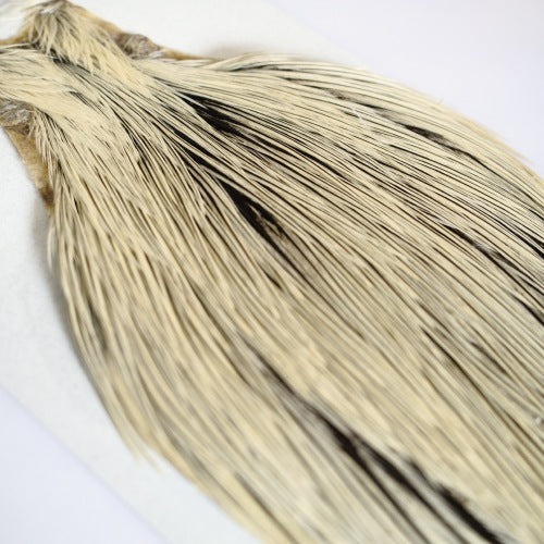 KEOUGH cape BADGER #2