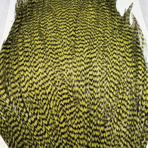 KEOUGH cape GRIZZLY OLIVE #2