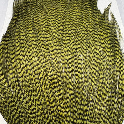 KEOUGH cape GRIZZLY OLIVE #2