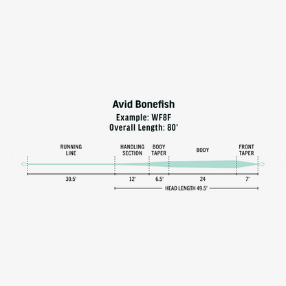 Premier Avid Bonefish