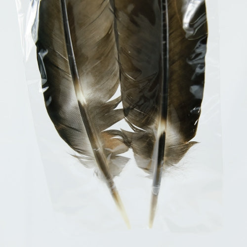 PEACOCK QUILL BLACK