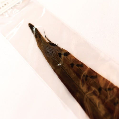 PHEASANT TAIL