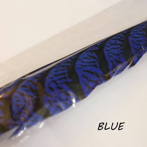 AMHERST PHEASANT TAIL