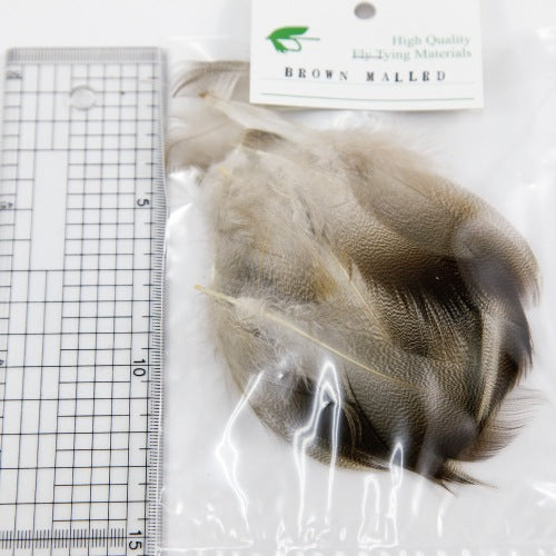 BROWN MALLARD Bulk Pack