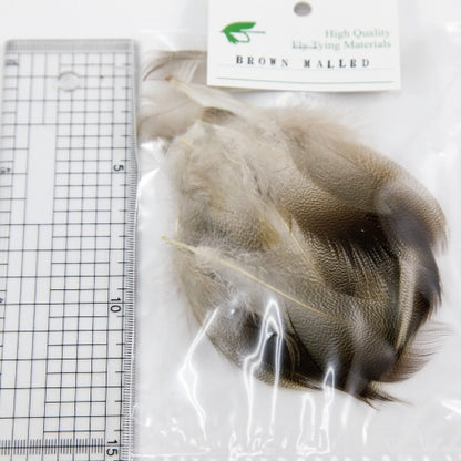 BROWN MALLARD Bulk Pack