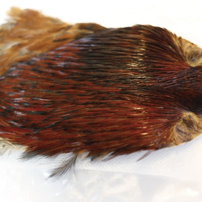 INDIAN CAPE (FOR DRY FLY)