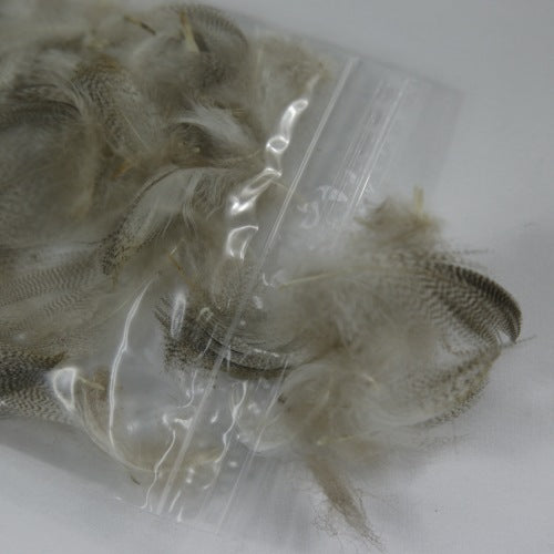 GREY MALLARD Bulk Pack