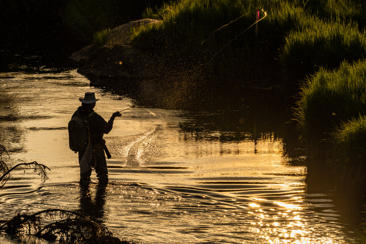 guide-method-dryfly