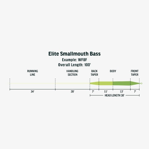 Elite Smallmouth Bass