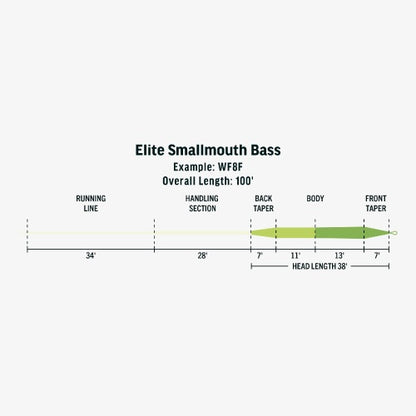 Elite Smallmouth Bass