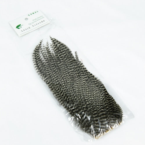 LARGE HACKLES
