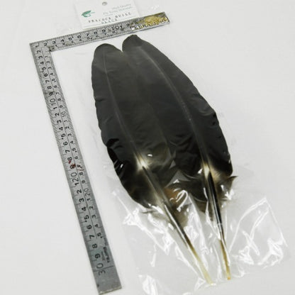 PEACOCK QUILL BLACK