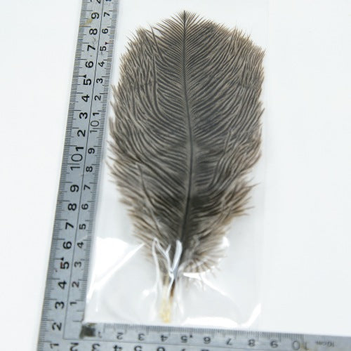 MINI OSTRICH