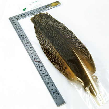 PEACOCK QUILL L