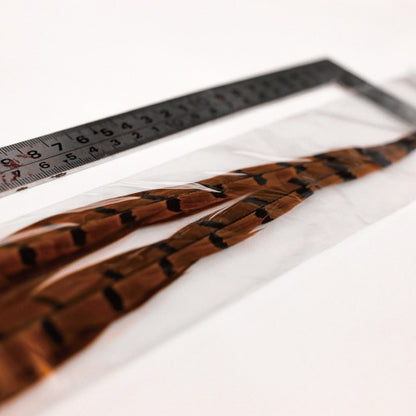PHEASANT TAIL