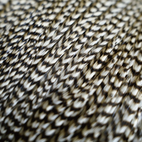 KEOUGH cape GRIZZLY #2