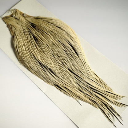 KEOUGH cape BADGER #2
