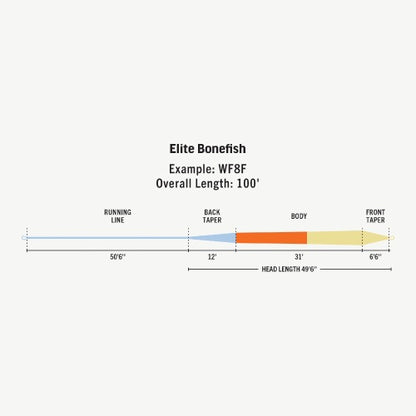 Elite Bonefish