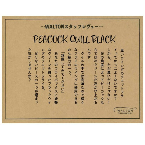 PEACOCK QUILL BLACK