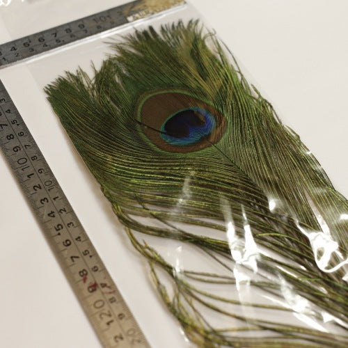 PEACOCK EYE