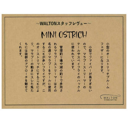 MINI OSTRICH