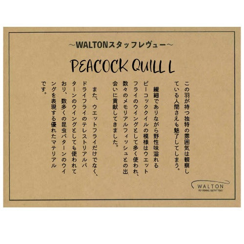 PEACOCK QUILL L