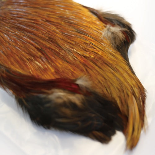 INDIAN CAPE (FOR DRY FLY)