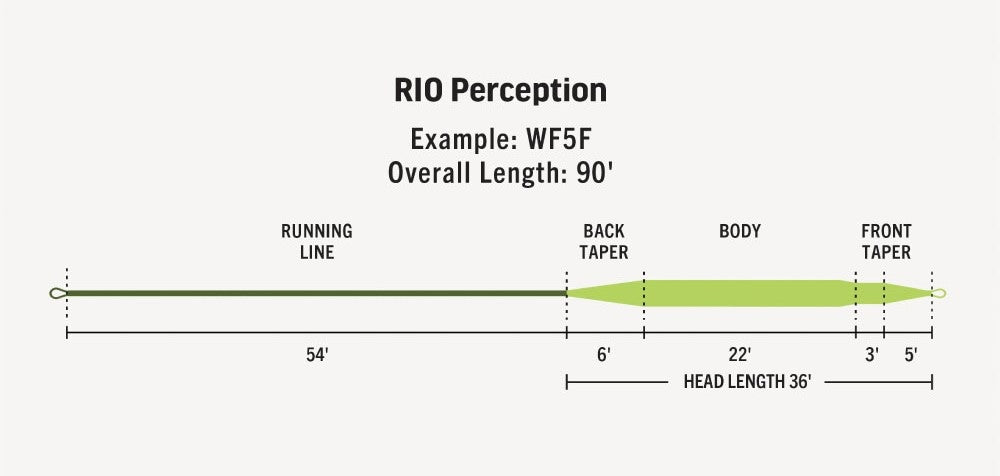 Premier RIO Perception