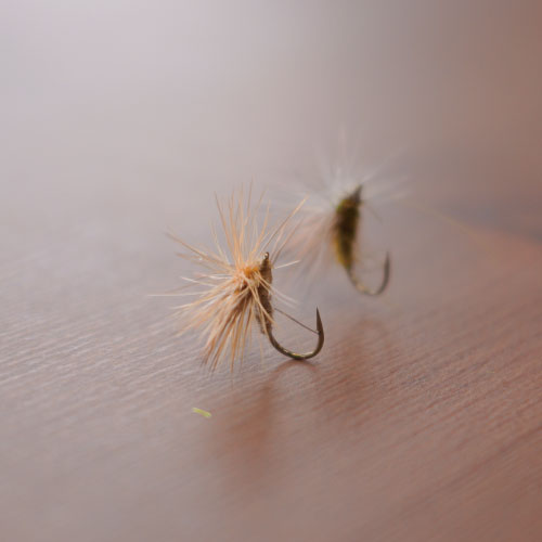 King Splitsville Caddis