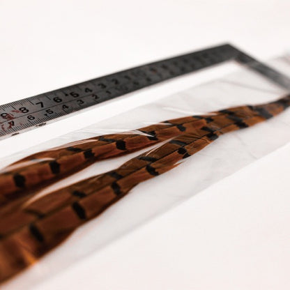 PHEASANT TAIL