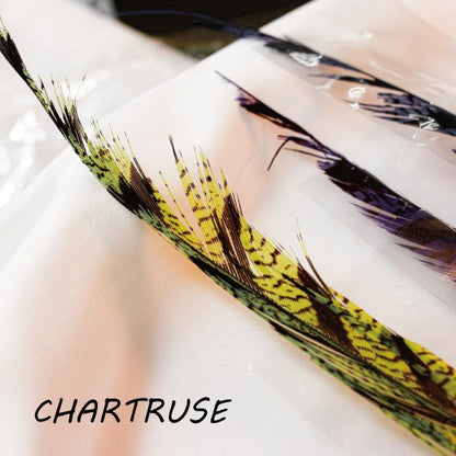 AMHERST PHEASANT TAIL