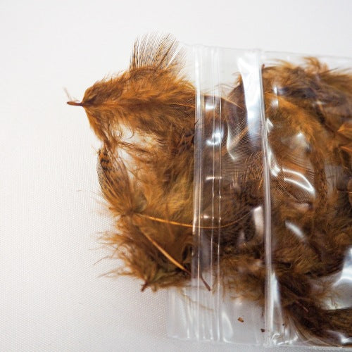 PARTRIDGE