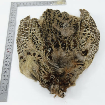HEN PHEASANT-2
