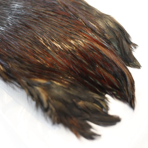 INDIAN CAPE (FOR DRY FLY)