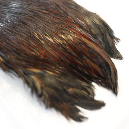 INDIAN CAPE (FOR DRY FLY)