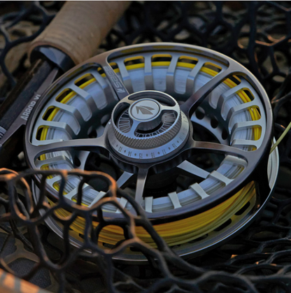 ARBOR XL