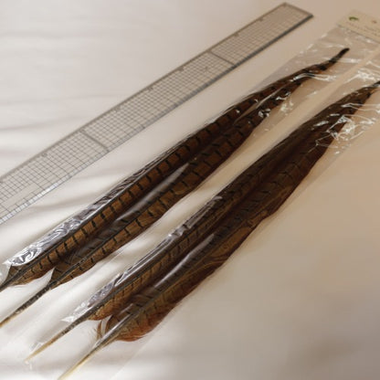 PHEASANT TAIL