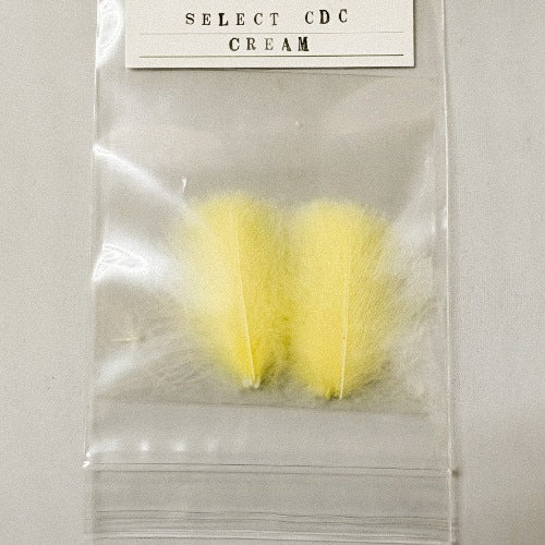 SELECT CDC